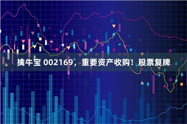 擒牛宝 002169，重要资产收购！股票复牌