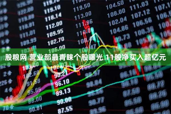股粮网 营业部最青睐个股曝光 11股净买入超亿元