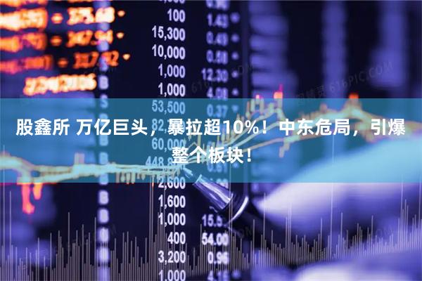 股鑫所 万亿巨头，暴拉超10%！中东危局，引爆整个板块！