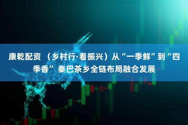 康乾配资 （乡村行·看振兴）从“一季鲜”到“四季香” 秦巴茶乡全链布局融合发展